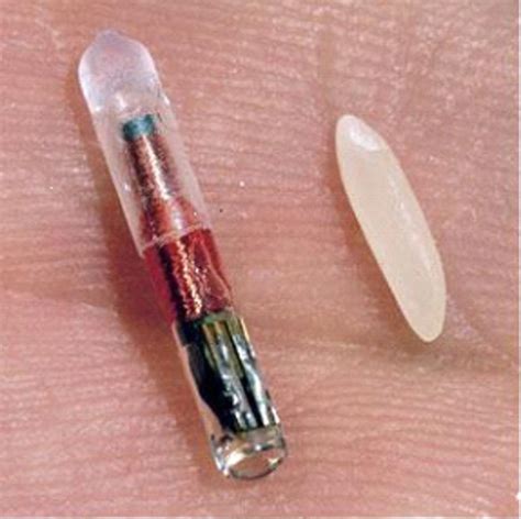 tiny gps implants